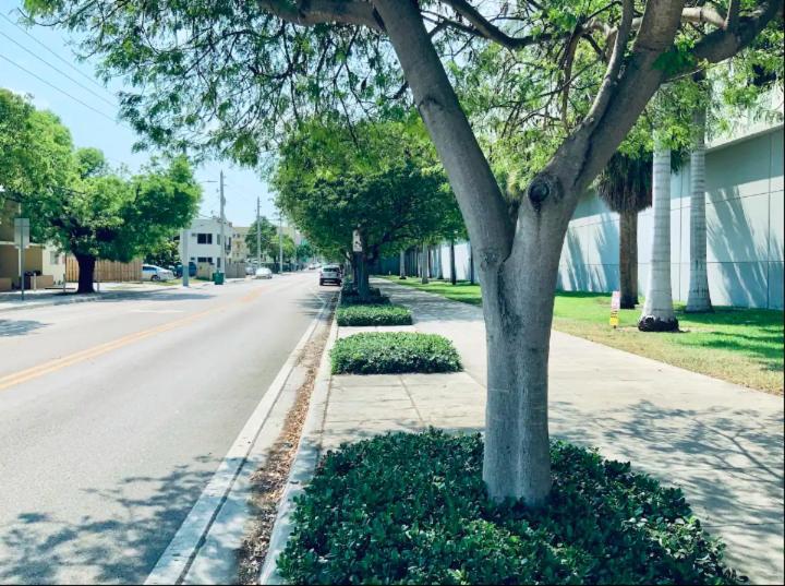 Apartments In The Heart Of Miami - Port Of Miami / Miami Airport Kültér fotó